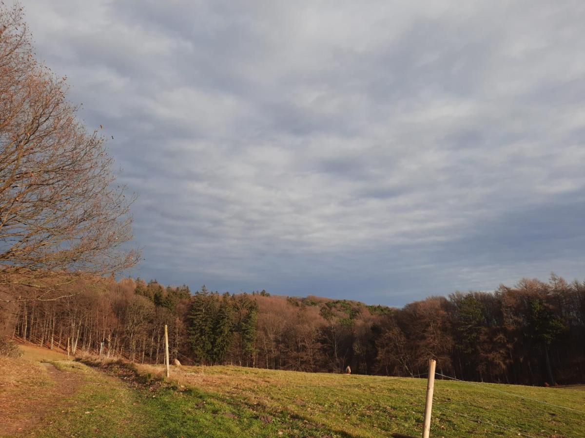 Erholungsheim Im Wienerwald Irenental Экстерьер фото