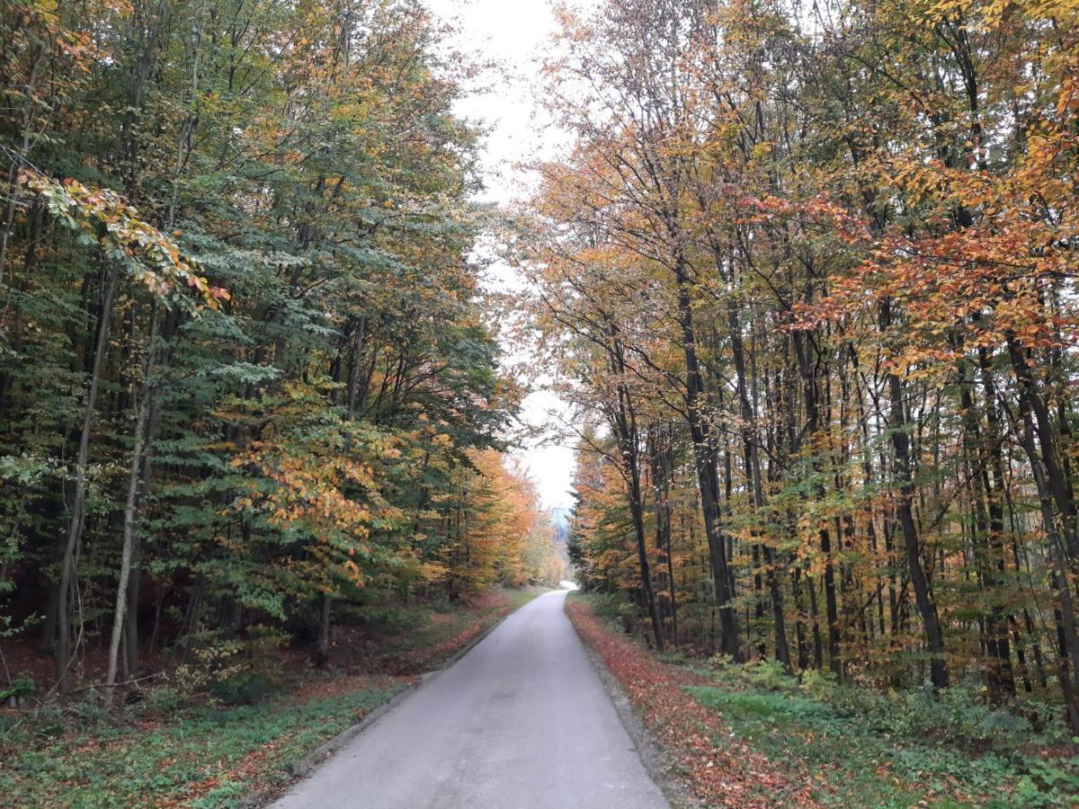 Erholungsheim Im Wienerwald Irenental Экстерьер фото